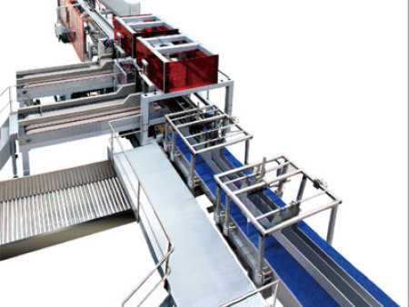 DLBX-ZB-045/060型全自動(dòng)紙箱包箱機(jī)